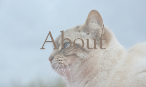 About